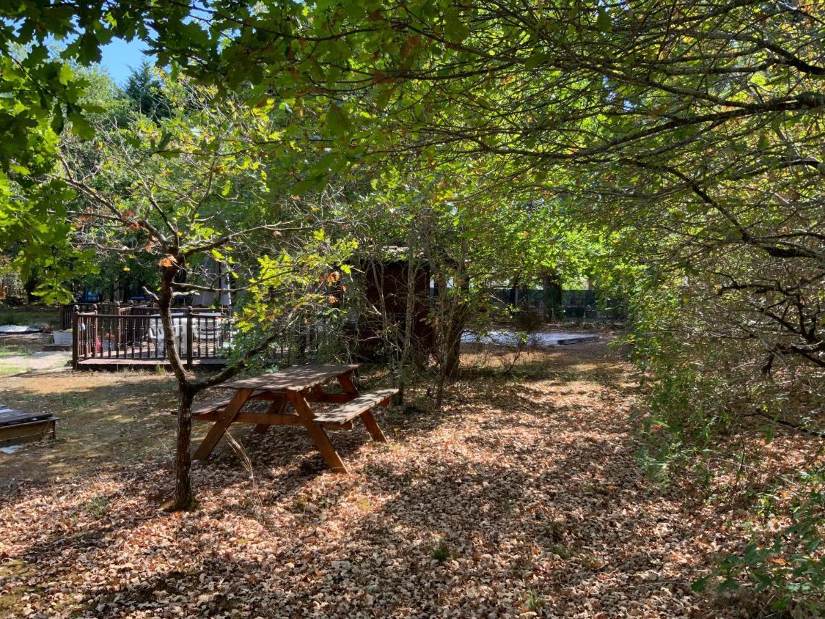 Domaine De Labelo Bed & Breakfast Commensacq Eksteriør bilde