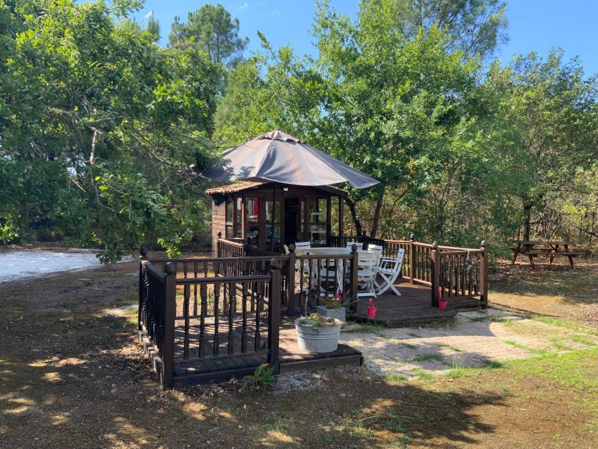 Domaine De Labelo Bed & Breakfast Commensacq Eksteriør bilde